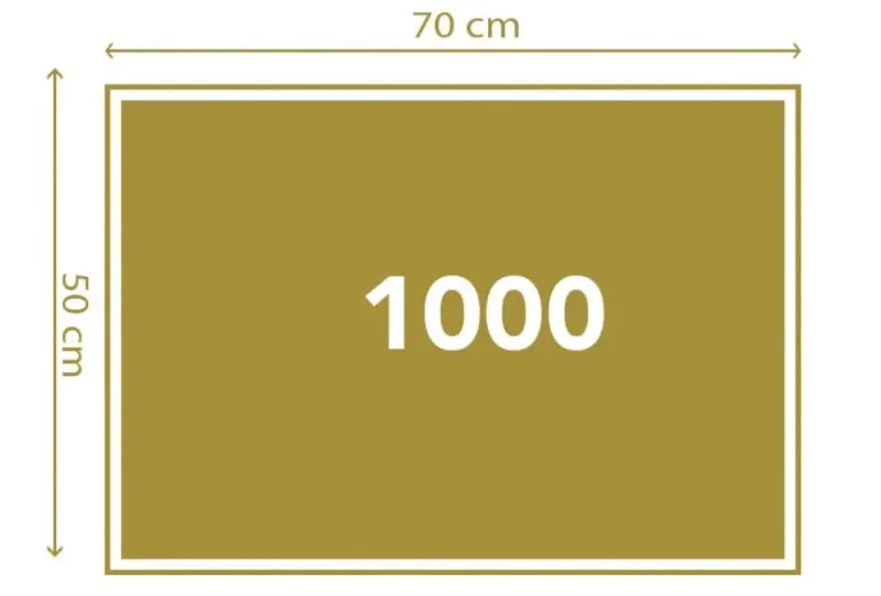 RR3.webp