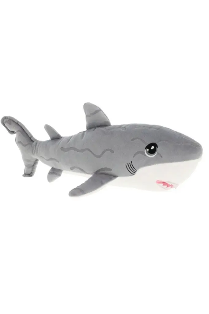 Shark.webp