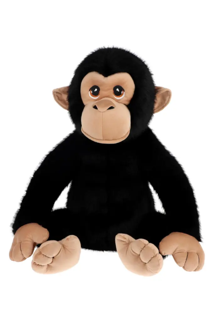 monkey.webp
