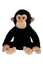 monkey.webp