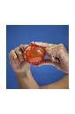 Layer 4.webp
