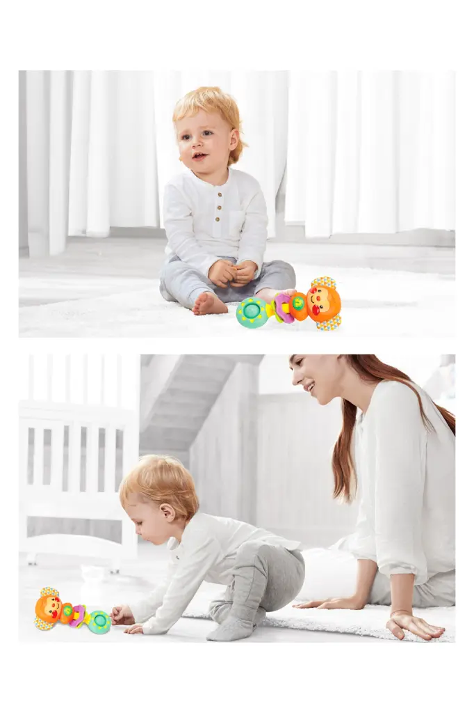 Layer 4.webp