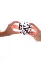 Layer 3.webp