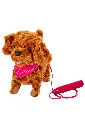 Layer 2.webp