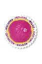 Layer 10.webp