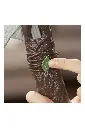 Layer 6.webp