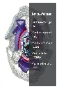 Layer 4.webp