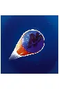 Layer 5.webp