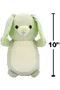 Layer 61.webp