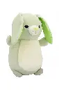 Layer 58.webp