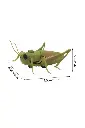 Layer 4.webp