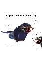 Layer 79.webp