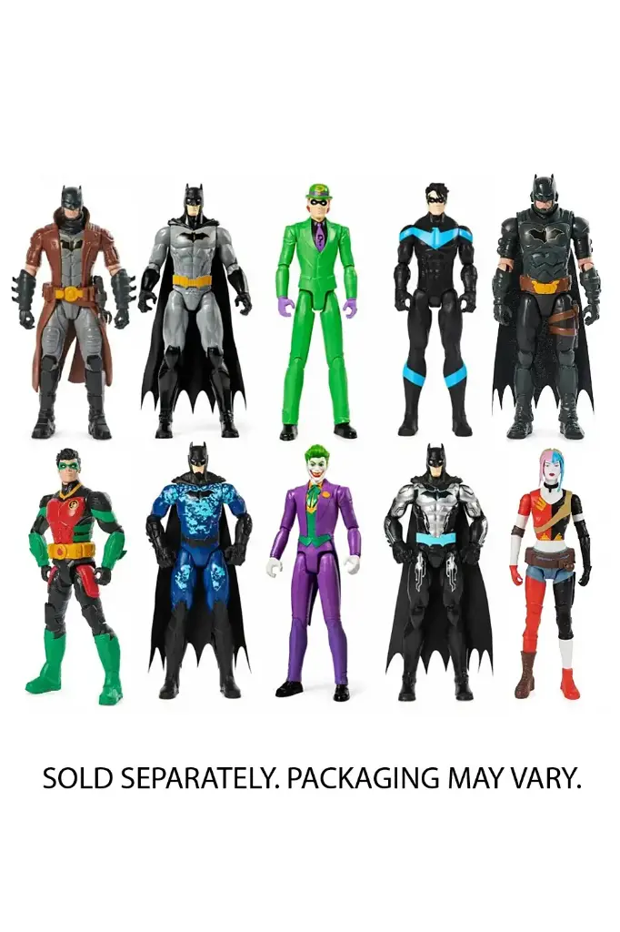 DC Batman 12-Inch Assorted Figure  6055157