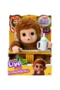Little Live Pets Baby Monkey "Mango" 26558
