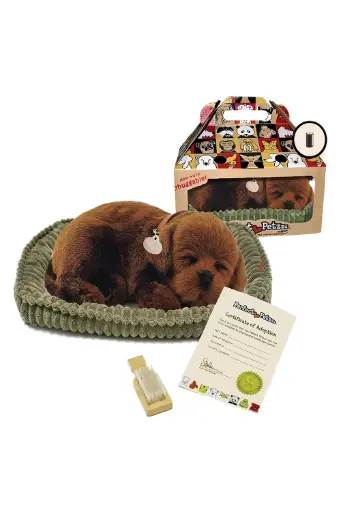 [EYRSUTGXP9113] Perfect Petzzz  Sleeping Toy Dog Chocolate Lab XP9113